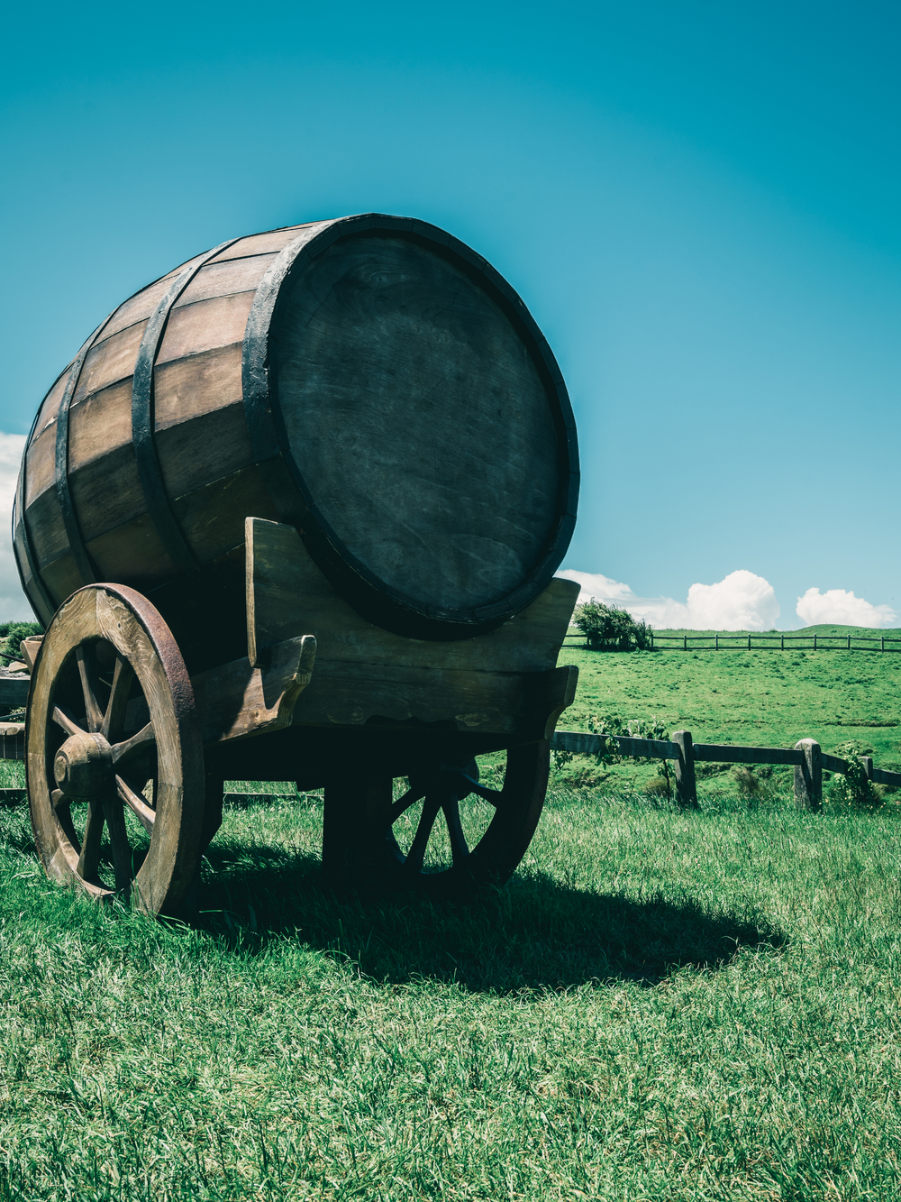 鄉野釀酒 葡萄酒桶、有機農業與酒精飲料的和諧圖景